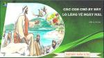 PHÚT CẦU NGUYỆN - Thứ Bảy tuần 11 Thường niên 2026.