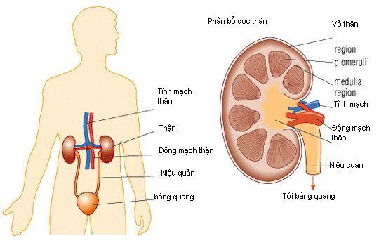 Tieuduong03